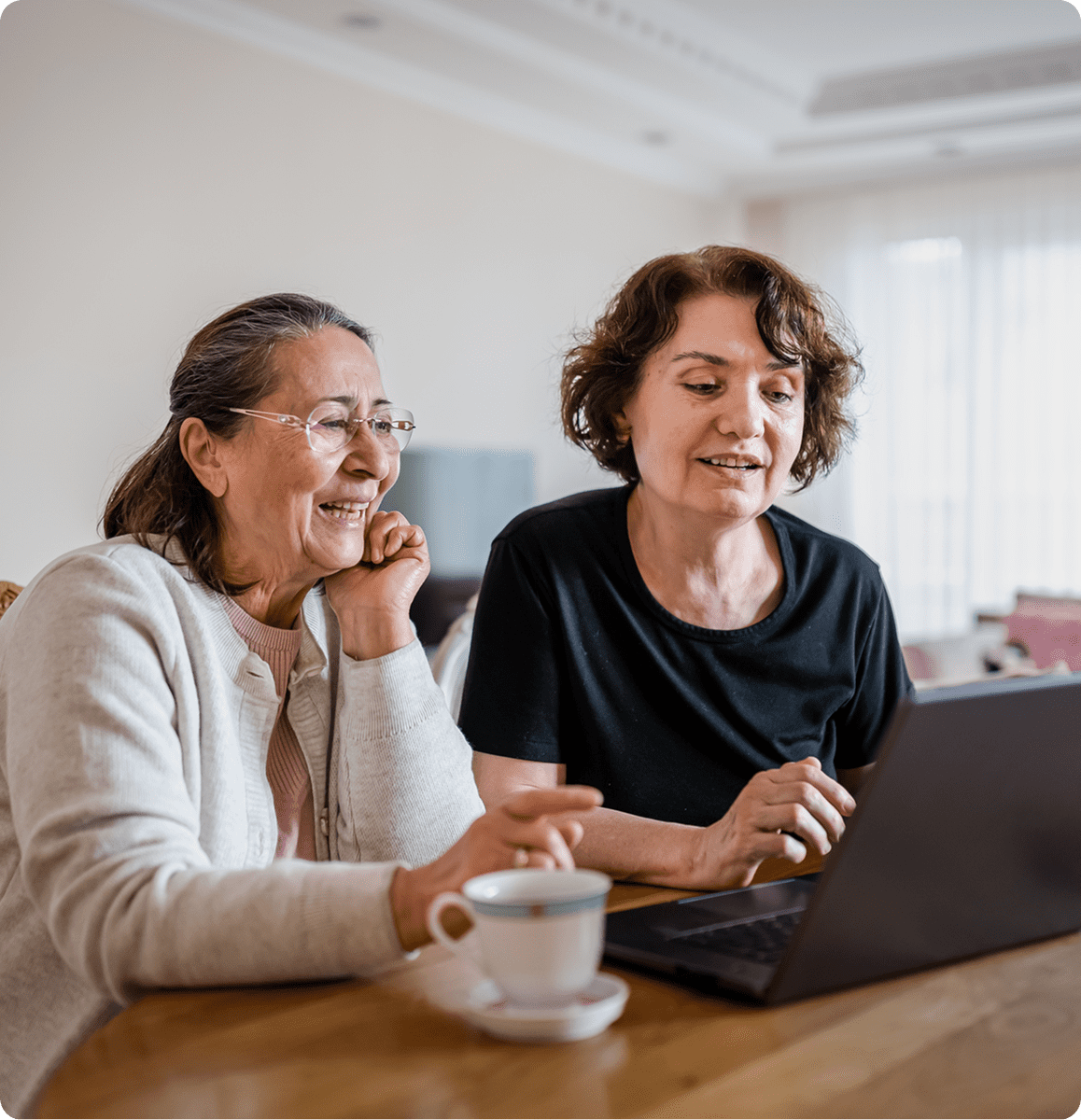 Older women using a laptop together